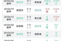 开云体育APP下载-沃尔夫斯堡擒下霍芬海姆，继续保持稳定状态的简单介绍