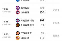 开云体育平台APP-广厦队击败对手，升至积分榜前列的简单介绍
