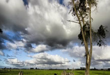 开云体育在线-RGE险胜RNG，Mickey完成帽子戏法——电竞夜空中的璀璨瞬间